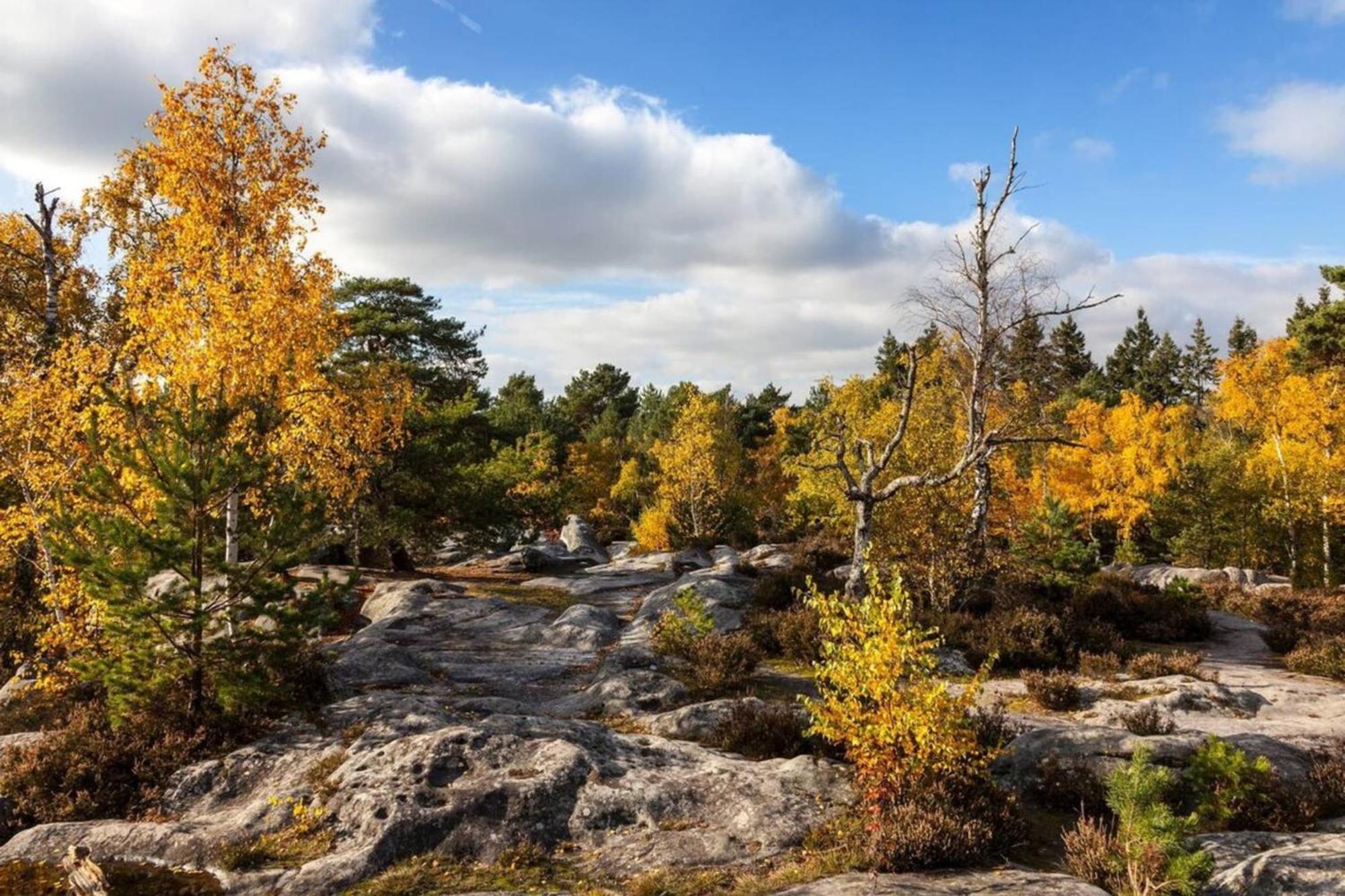 Апартаменти Fontainebleau - Chez Andrea Екстер'єр фото